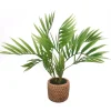 RETIF Areca-Palme Im Keramiktopf Mit Rohrgeflecht-Effekt H 35 Cm Flash Sale