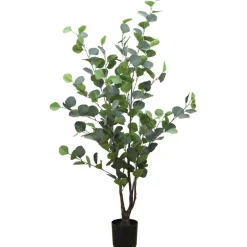 RETIF Eukalyptus Im Topf H 95 Cm Flash Sale