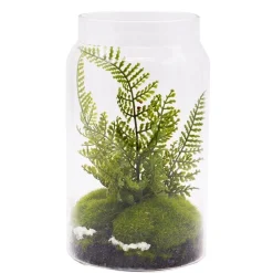 RETIF Farn-Terrarium H 19 Cm Cheap