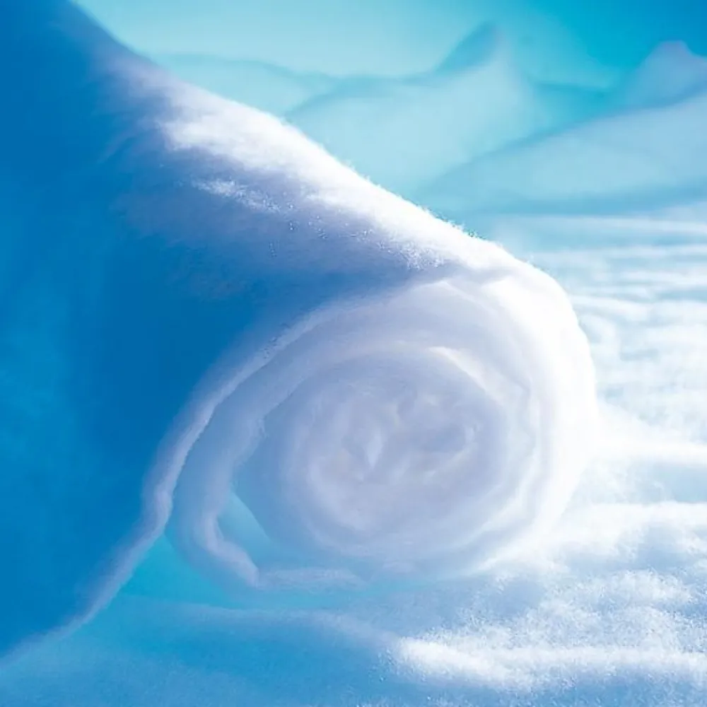 RETIF Schneematte 1X5M - 120Gr Klassifizierung M1 - M2 - X1 Cheap
