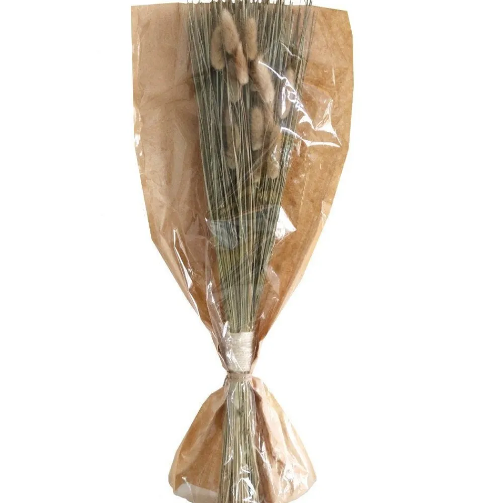 RETIF Trockenblumen In Einem Straus H 55/60 Cm Fashion